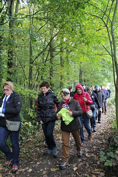 MG Herfstwandeling op 18-10-2015, org. Judith & Monke Menten (25).JPG